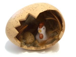 chicken and egg