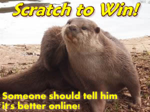 scratch to win