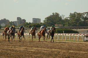 horse racing